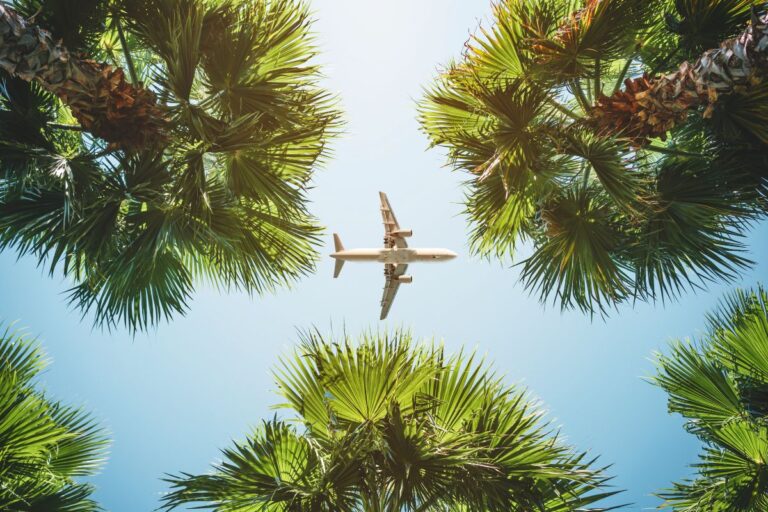 Airplane flying over tropical palm trees against a clear blue sky.