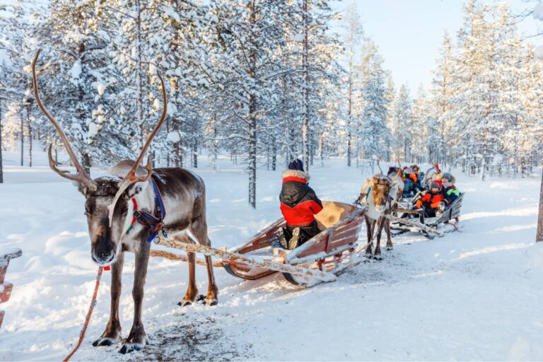 A reindeer-led sleigh ride through a snowy forest, with people bundled up in warm clothing enjoying the winter scenery.
