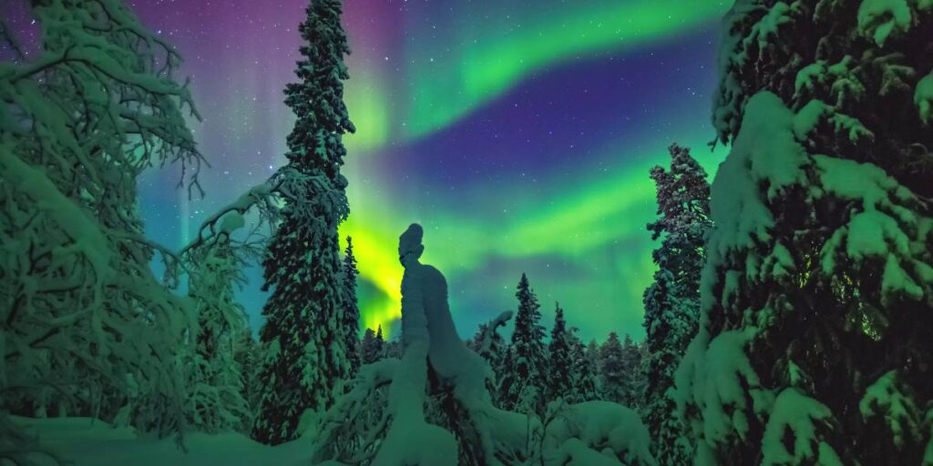Silhouette of a person standing in a snow-covered forest under a vibrant aurora borealis display in the night sky.