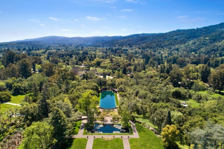 Aerial view of a grand estate with lush gardens, a large reflective pool, and surrounding dense forest.